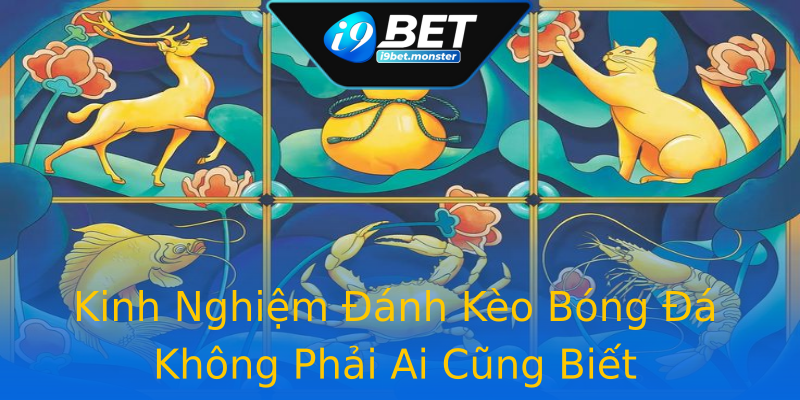 Kinh Nghiệm Đánh Kèo Bóng Đá Không Phải Ai Cũng Biết Kinh Nghiệm Đánh Kèo Bóng Đá Không Phải Ai Cũng Biết